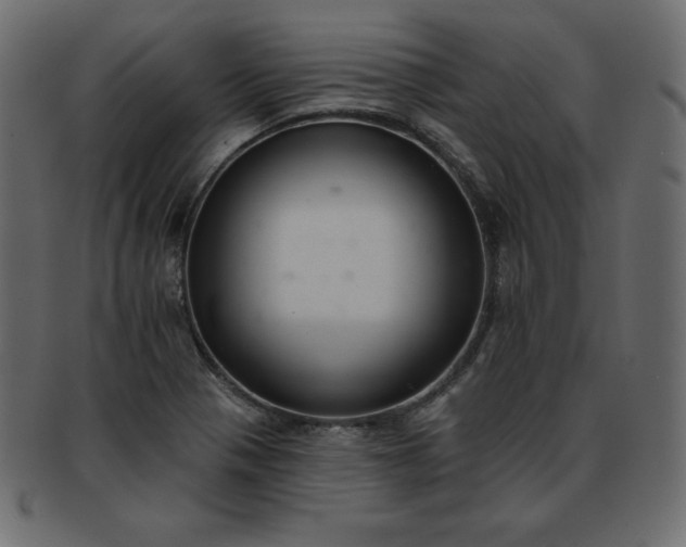 X0000093361321200710191050