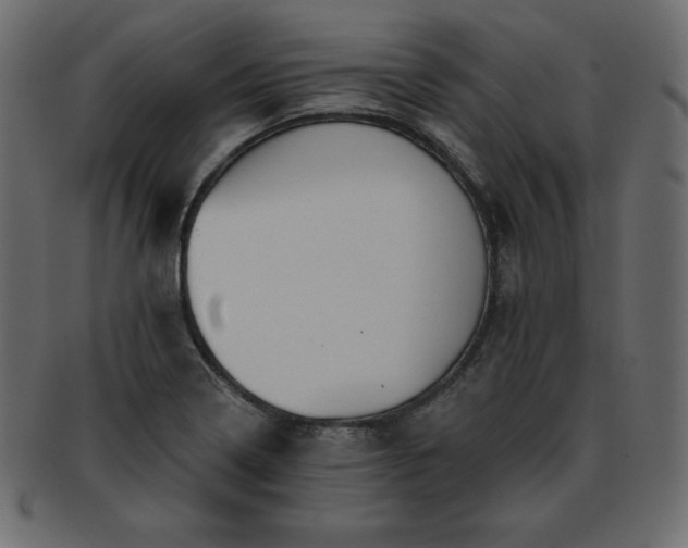 X0000093361322200710191050