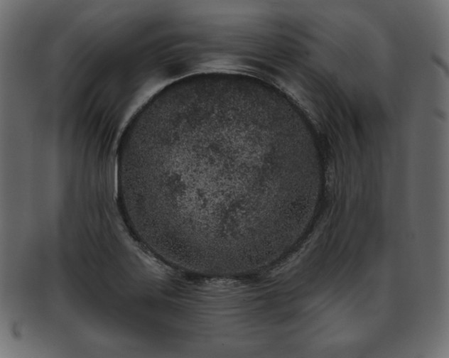 X0000093361323200710191050