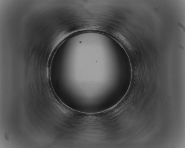 X0000093361324200710191050