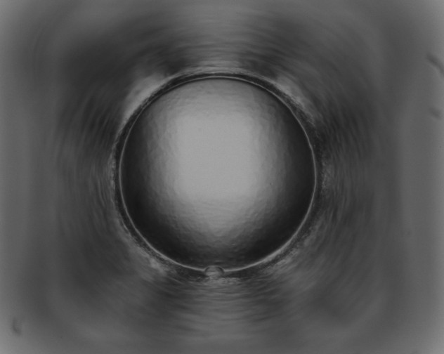 X0000093361325200710191050