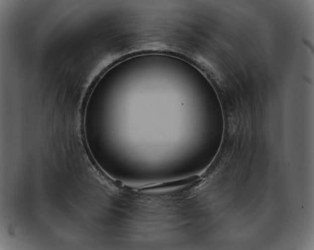 X0000093361326200710191050