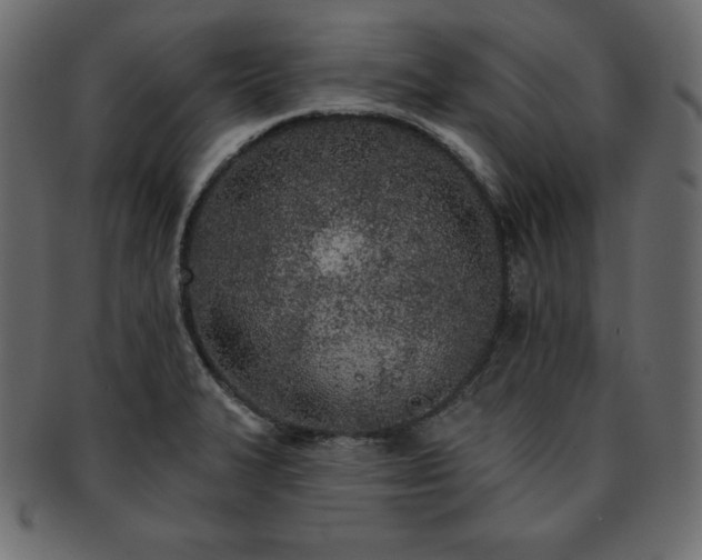 X0000093361327200710191050