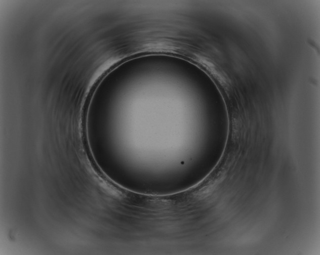 X0000093361331200710191050