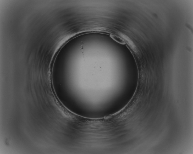 X0000093361332200710191050
