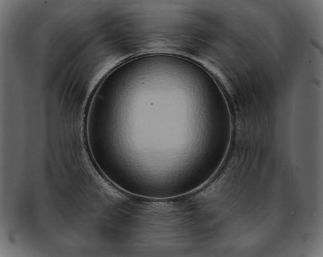 X0000093361333200710191050
