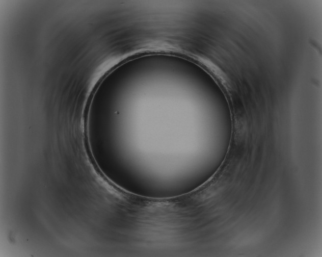 X0000093361335200710191050