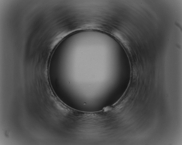 X0000093361336200710191050
