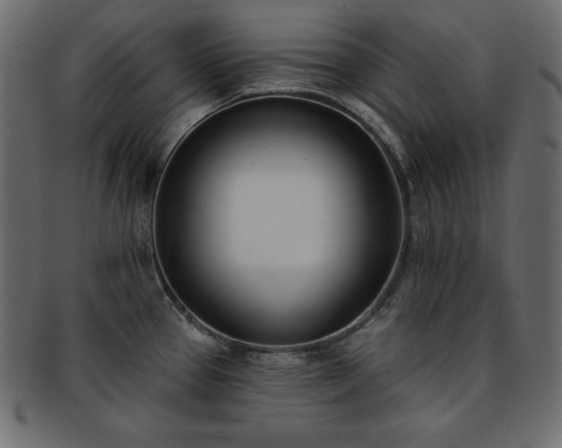 X0000093361337200710191050