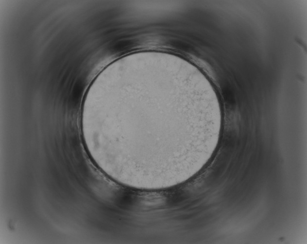 X0000093361338200710191050
