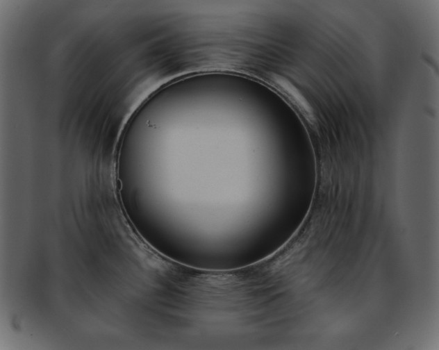 X0000093361340200710191050