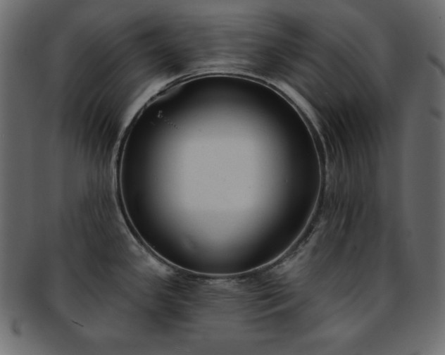 X0000093361341200710191050