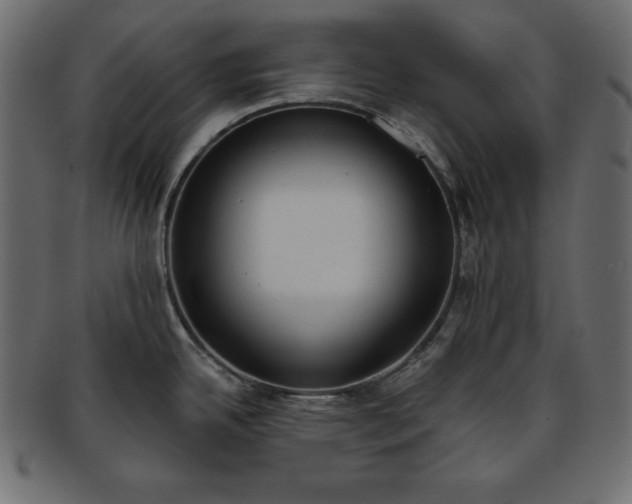 X0000093361342200710191050