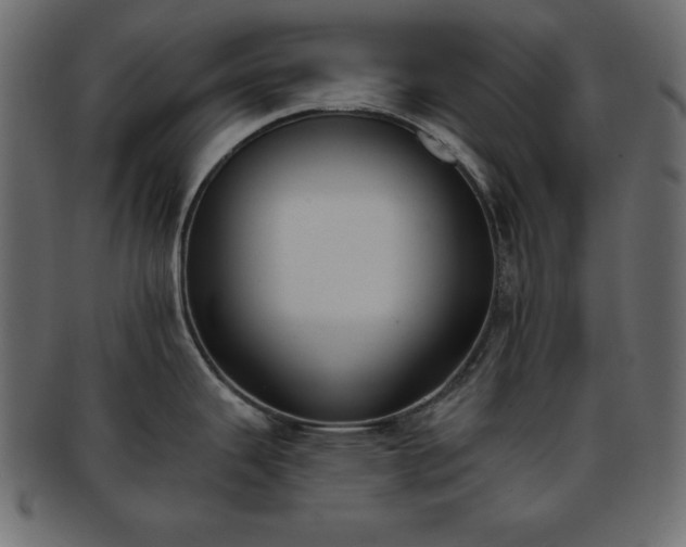 X0000093361343200710191050