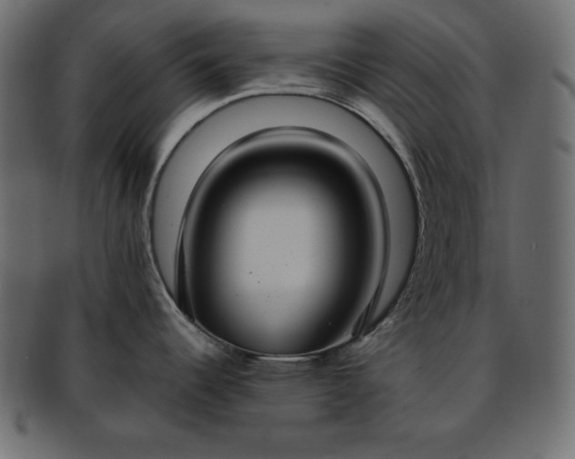 X0000093361344200710191050