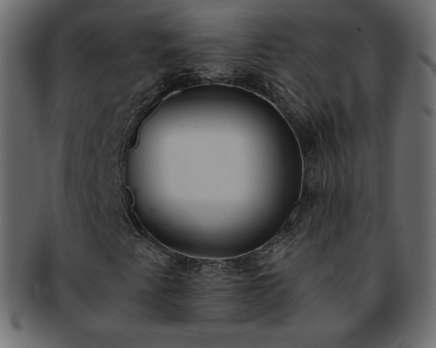 X0000093361345200710191049