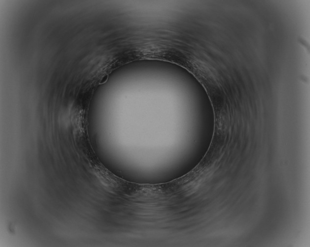 X0000093361346200710191049