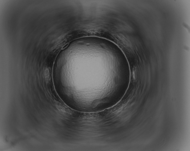 X0000093361347200710191049