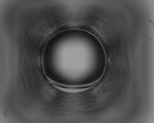 X0000093361348200710191049