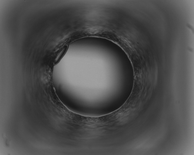 X0000093361349200710191049