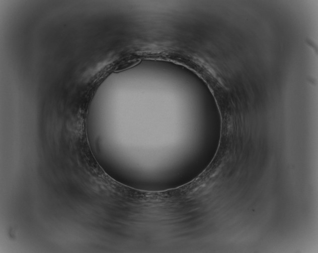 X0000093361350200710191049