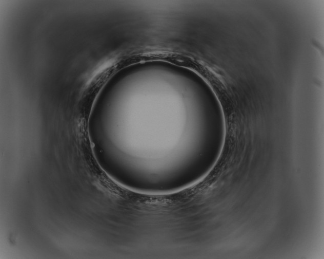 X0000093361351200710191049