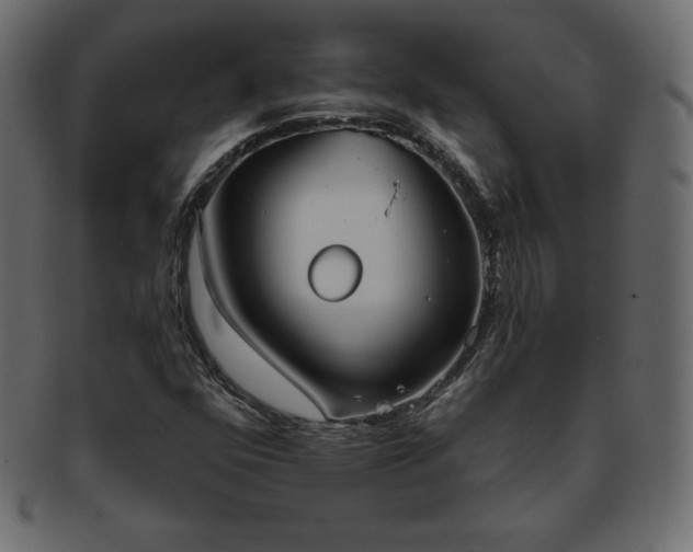 X0000093361352200710191049