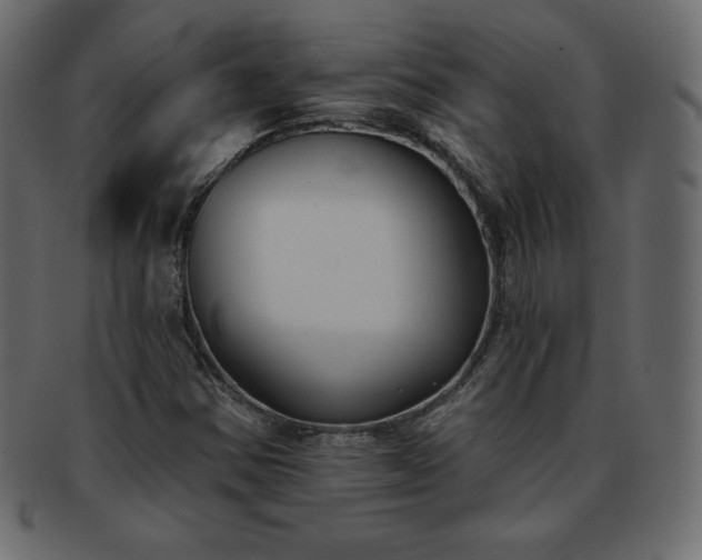 X0000093361354200710191049