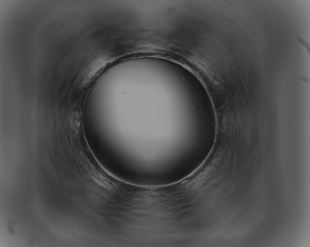 X0000093361355200710191049