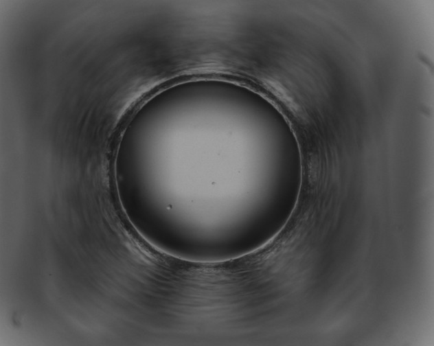 X0000093361356200710191049