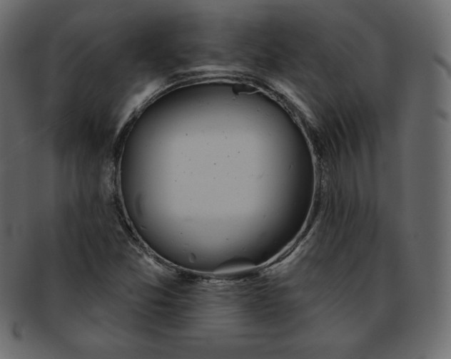 X0000093361357200710191049