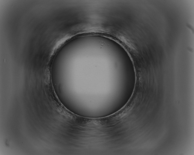 X0000093361358200710191049
