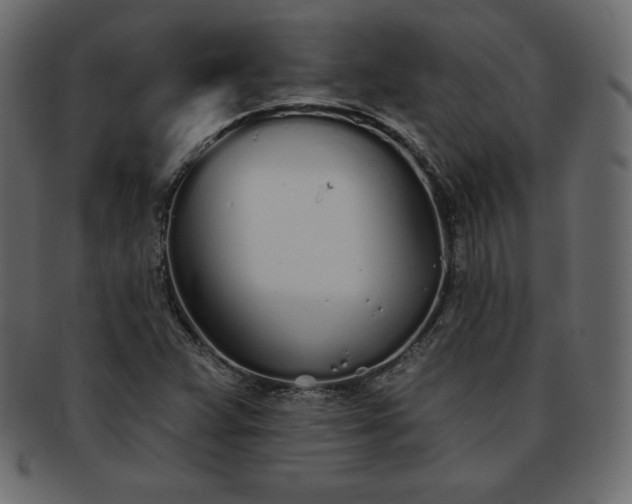 X0000093361359200710191049