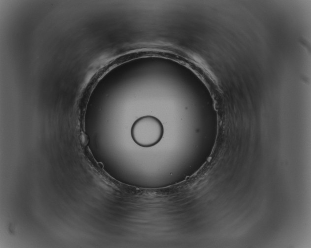 X0000093361360200710191049