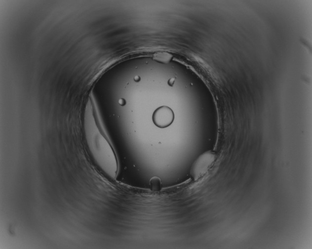 X0000093361361200710191049