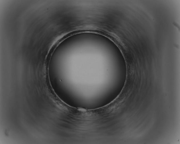 X0000093361364200710191049