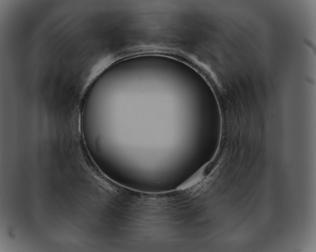 X0000093361365200710191049
