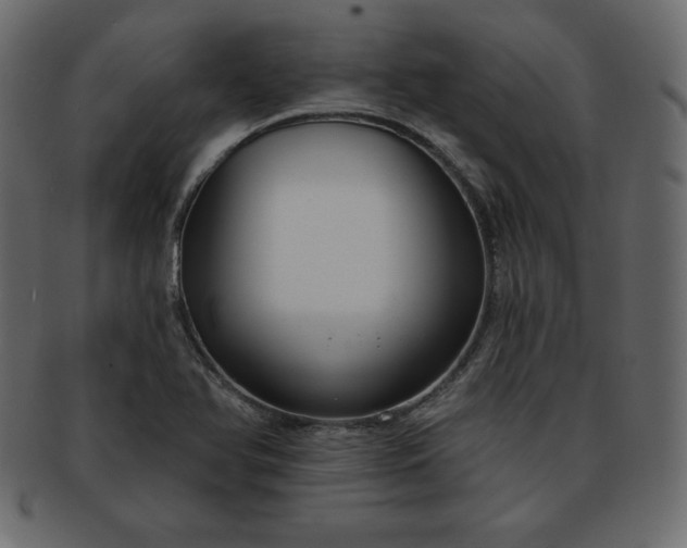 X0000093361366200710191049