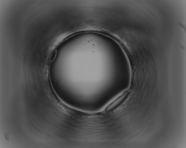 X0000093361367200710191049