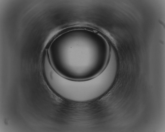 X0000093361368200710191049