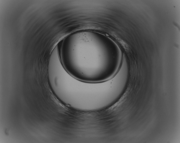 X0000093361369200710191049
