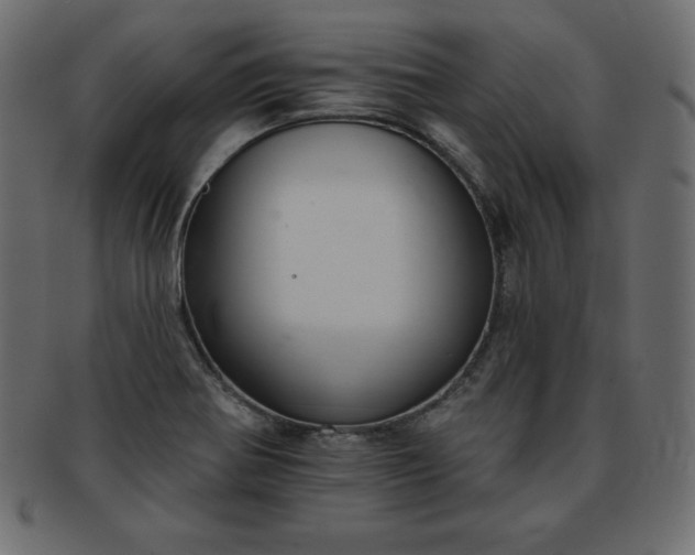 X0000093361370200710191049
