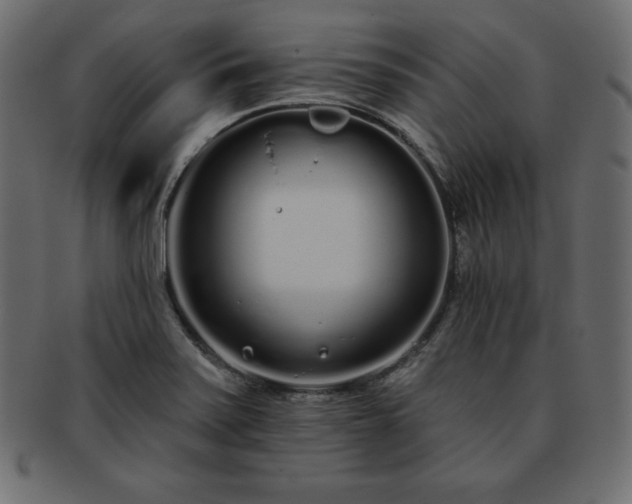 X0000093361371200710191049
