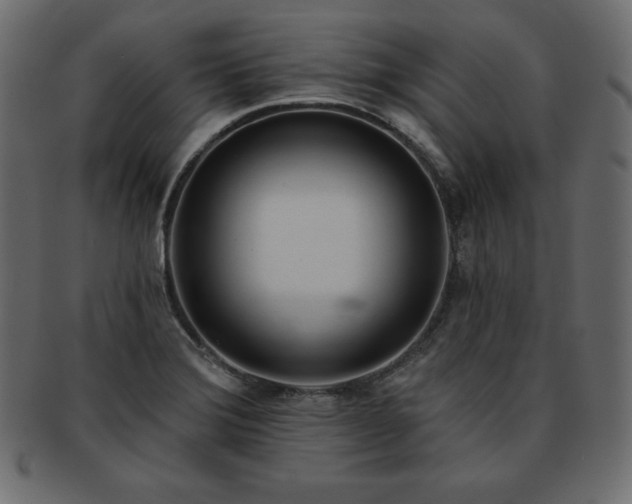 X0000093361372200710191049