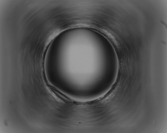 X0000093361373200710191049