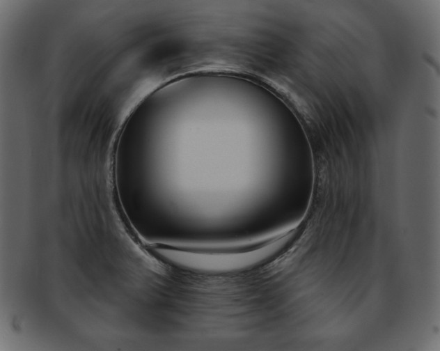 X0000093361375200710191049