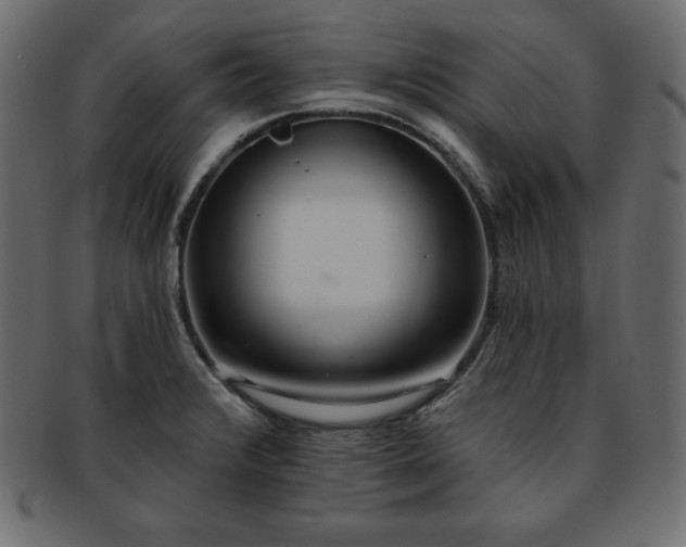 X0000093361376200710191049