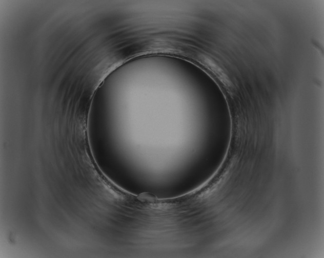 X0000093361377200710191049