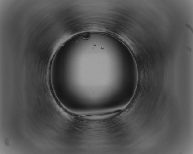 X0000093361379200710191049