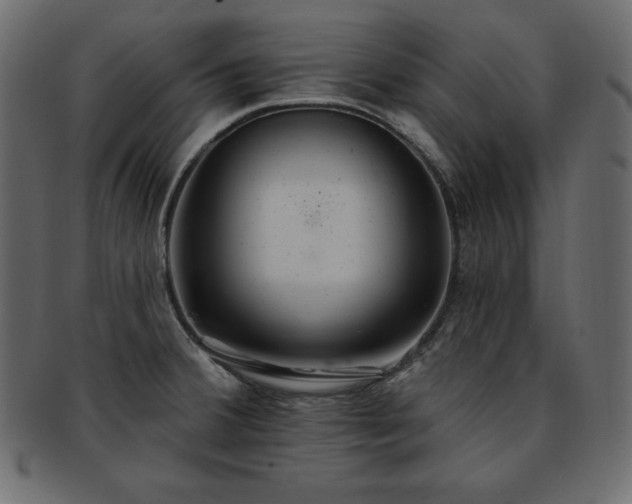 X0000093361380200710191049